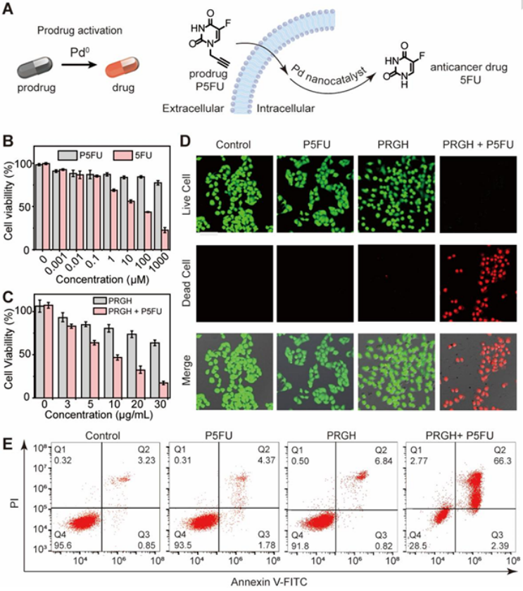 图片4.png 图片4.png