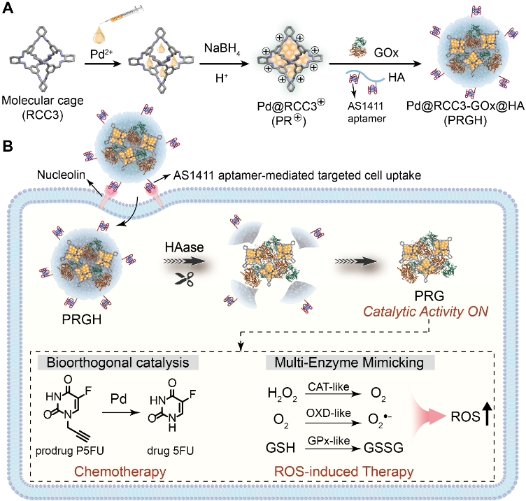 图片1.png 图片1.png